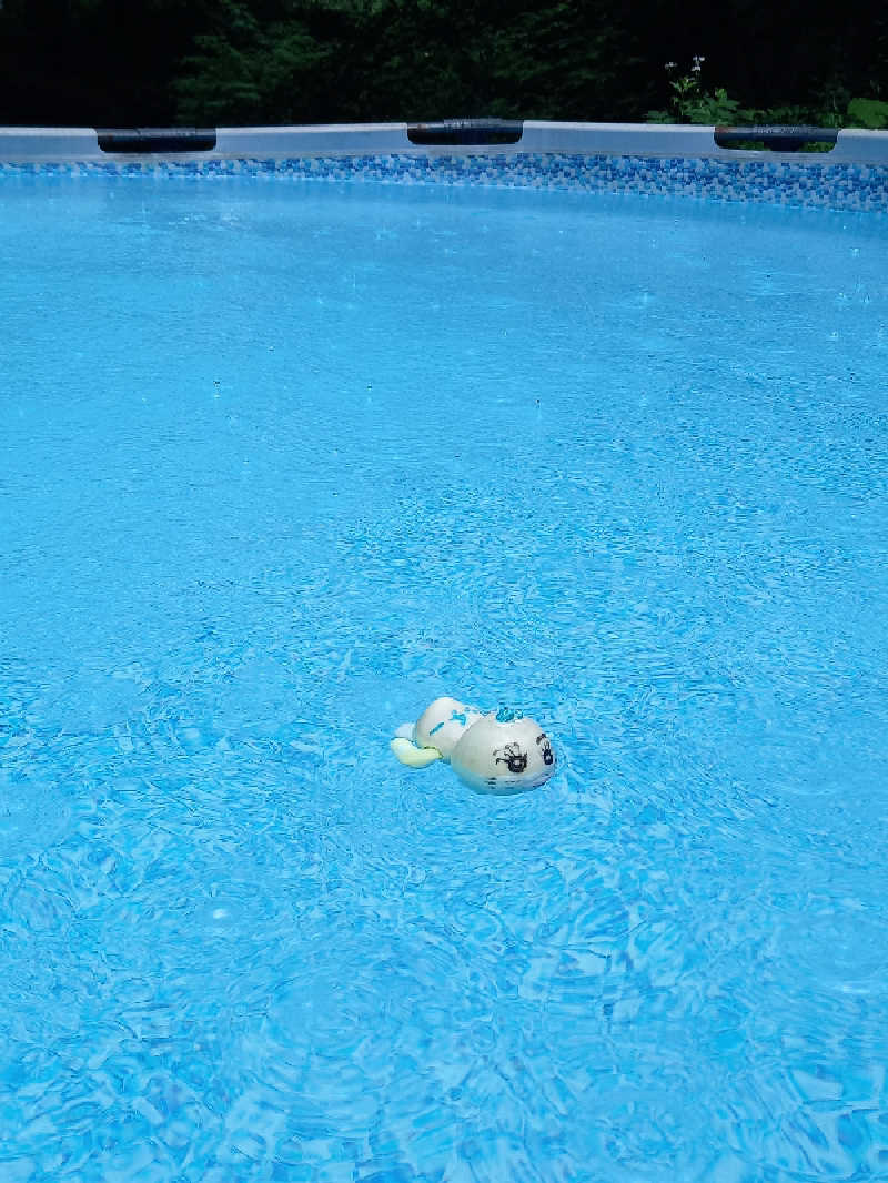 あざらしさんの八千穂SAUNAのサ活写真