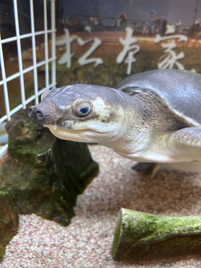 ととのいケロさんの松本湯のサ活写真