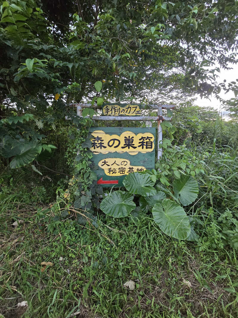 黒崎 一護さんのサウナ 森の巣箱のサ活写真