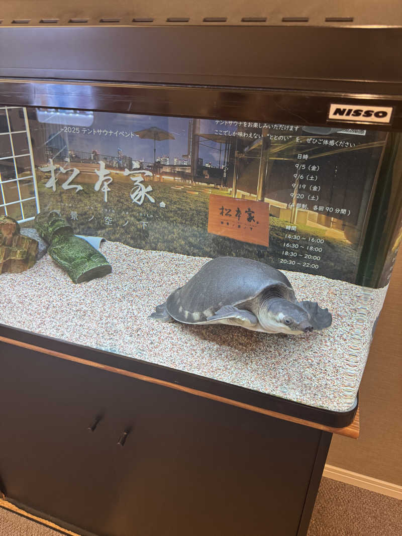 rocoさんの松本湯のサ活写真