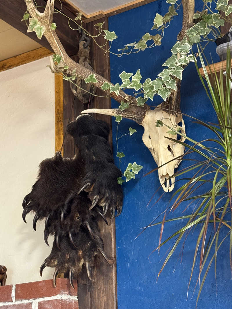 サウナバカ1代さんのたきのうえホテル渓谷のサ活写真