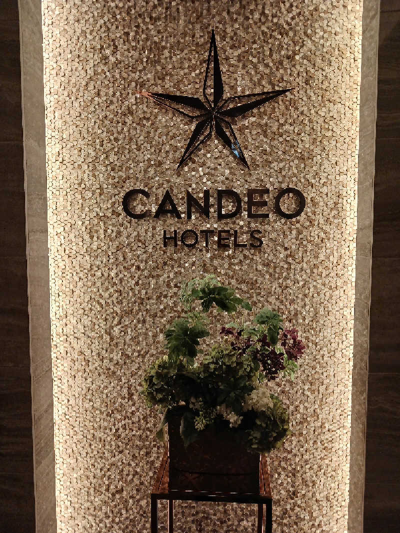 よーへーさんのカンデオホテルズ宇都宮のサ活写真