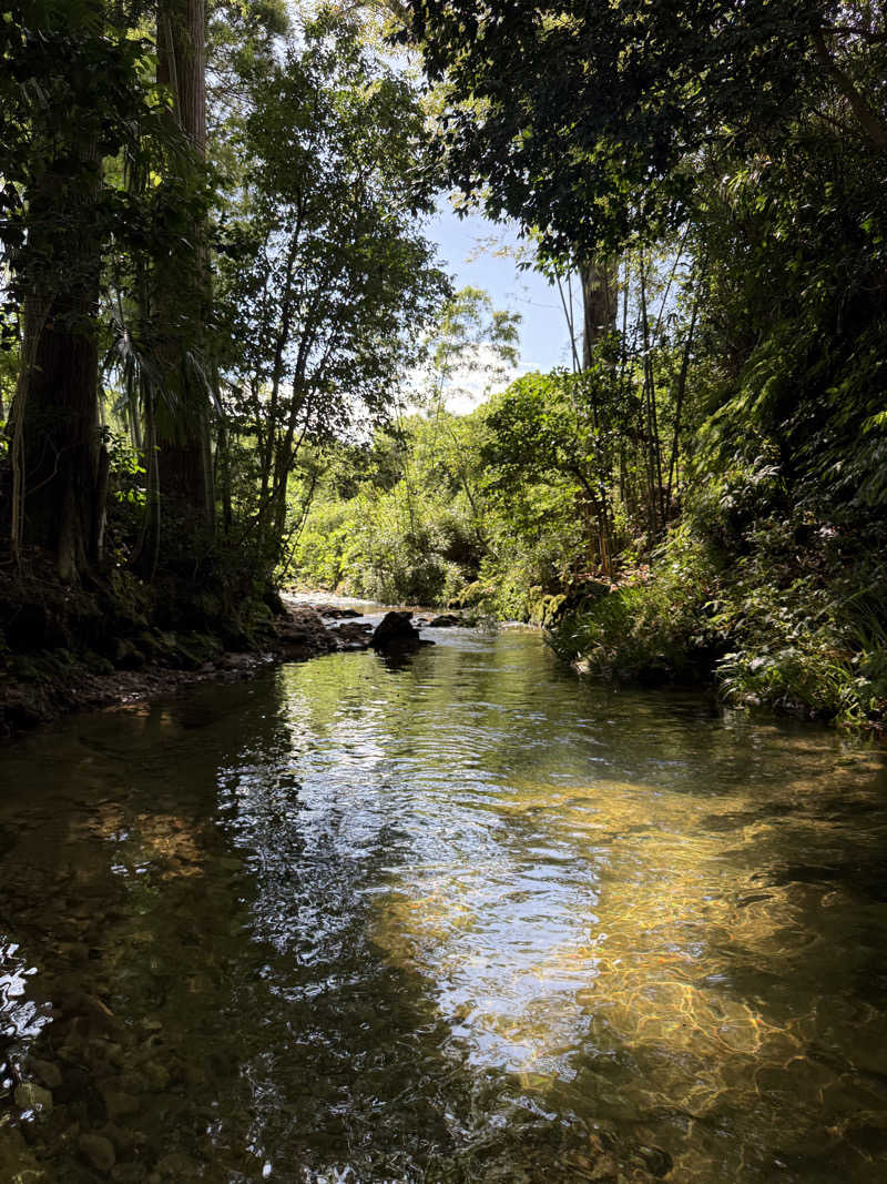 T.Tlv5さんのTAKIGAHARA SAUNAのサ活写真