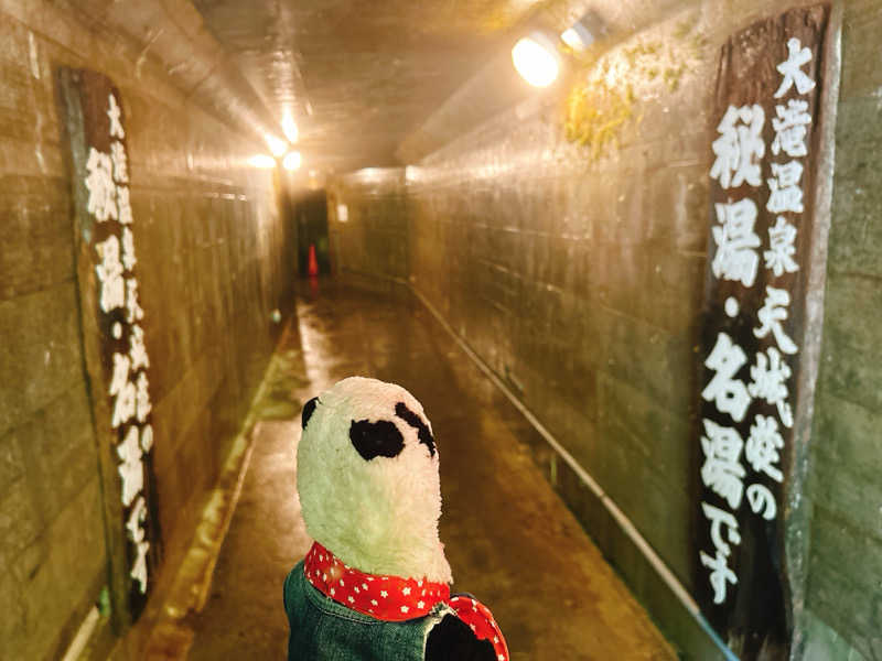 bananabikeさんの大滝温泉 天城荘【サウナ再開予定なし】のサ活写真