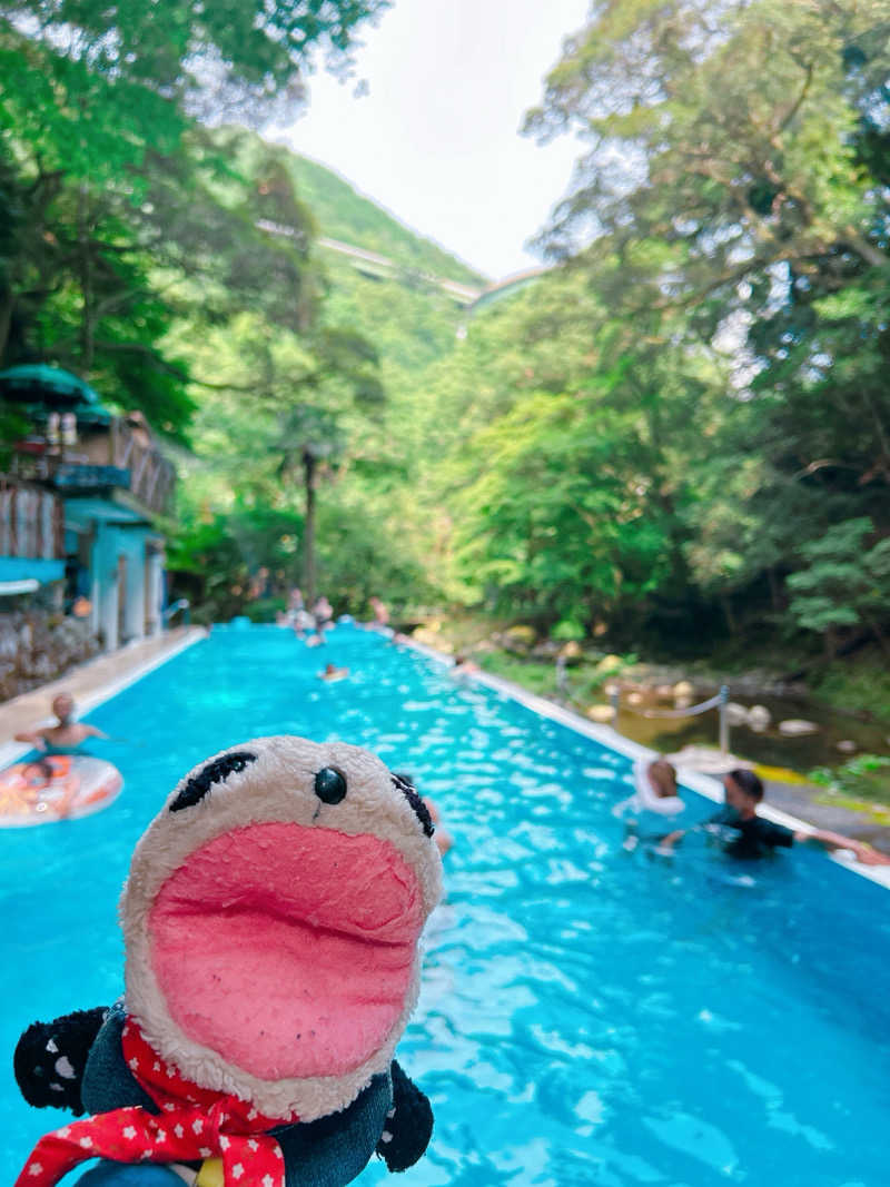 bananabikeさんの大滝温泉 天城荘【サウナ再開予定なし】のサ活写真
