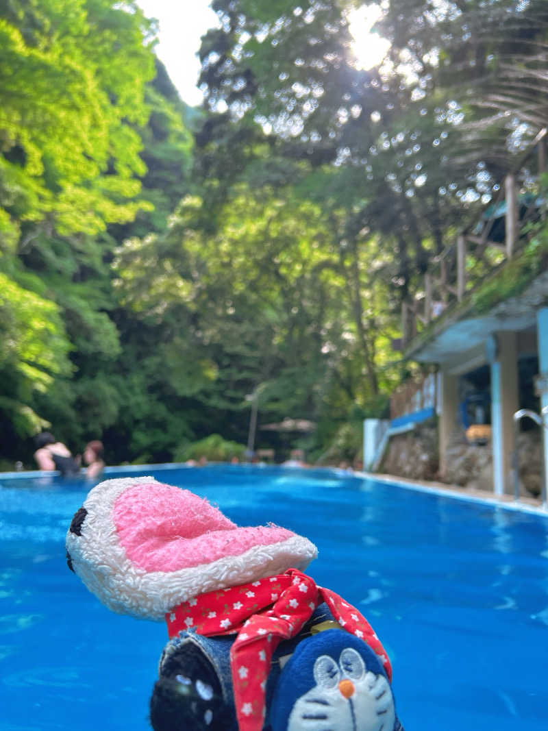 bananabikeさんの大滝温泉 天城荘【サウナ再開予定なし】のサ活写真