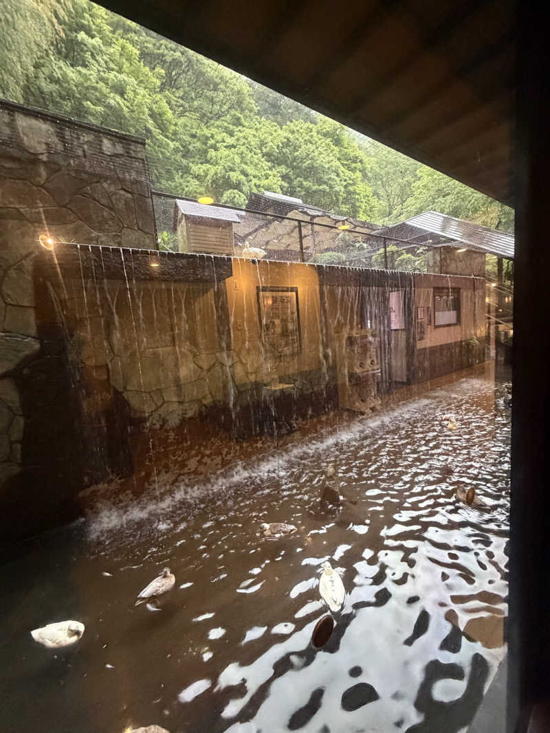 すしさんの箱根湯本温泉 天成園のサ活写真