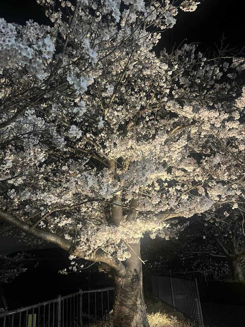 YAAGENさんの虹の湯 西大和店のサ活写真