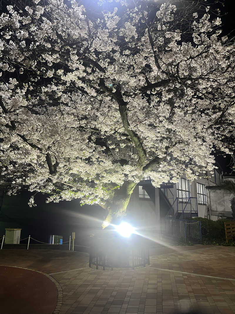 YAAGENさんの天然露天温泉 スパスミノエのサ活写真