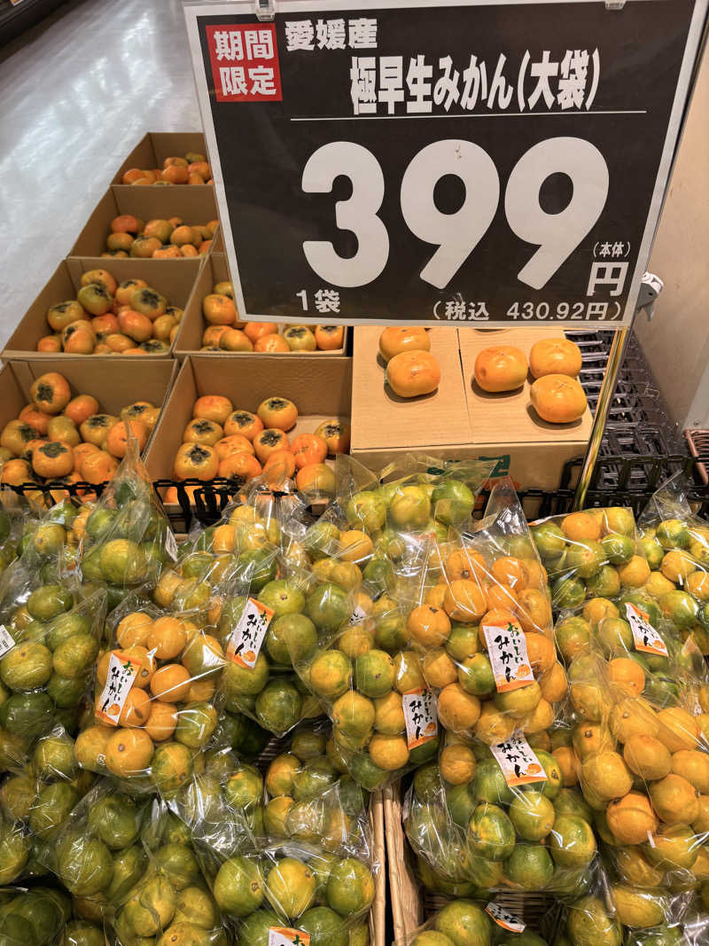かばこ白樺🌴さんの天然温泉 湯～ねるのサ活写真