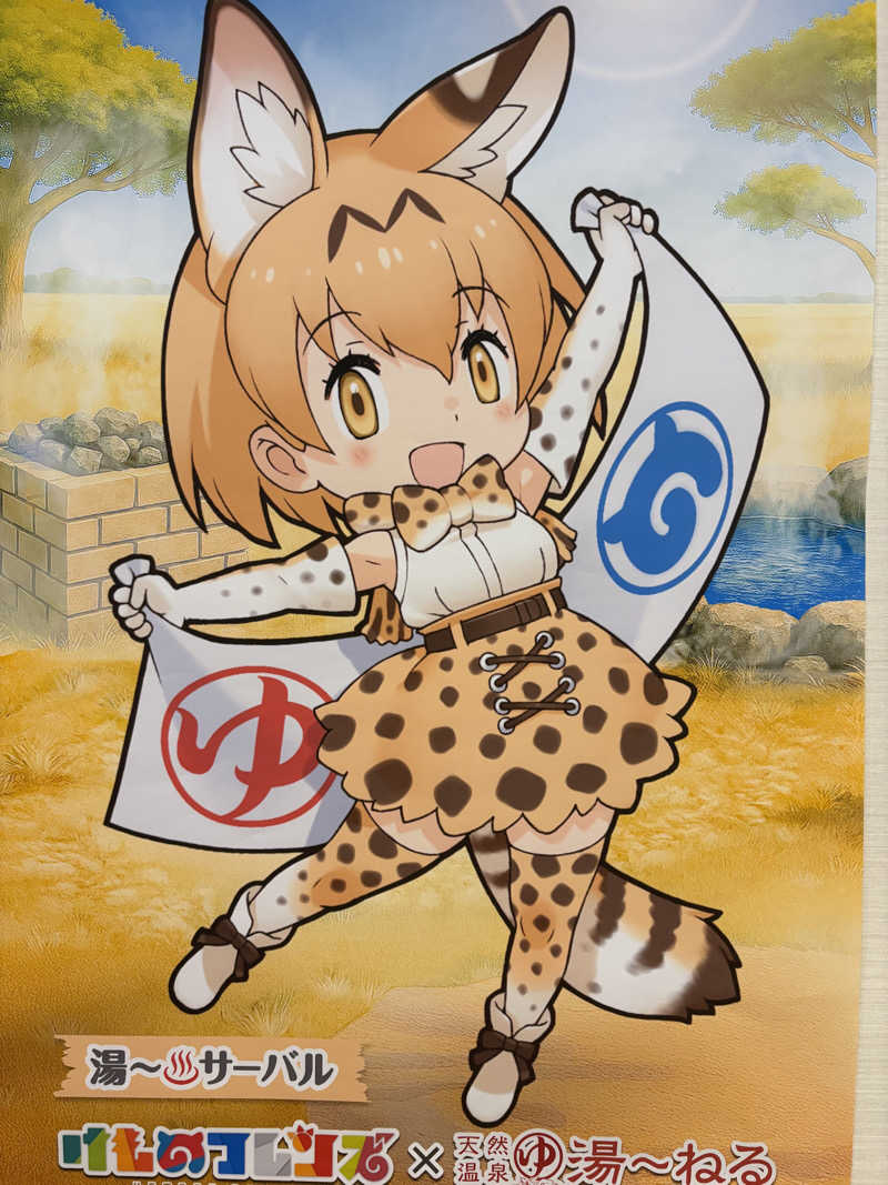 かばこ白樺🌴さんの天然温泉 湯～ねるのサ活写真