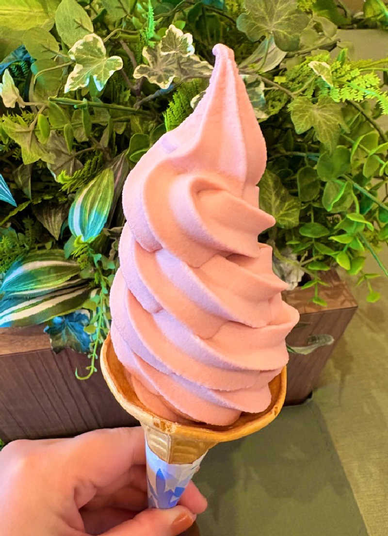 かばこ白樺🌴さんのJFA夢フィールド 幕張温泉 湯楽の里のサ活写真