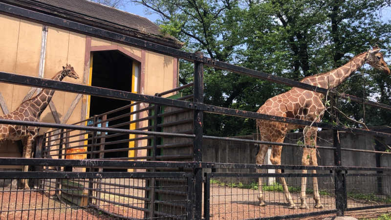タカザワ”D”さんの昭島 富士見湯のサ活写真