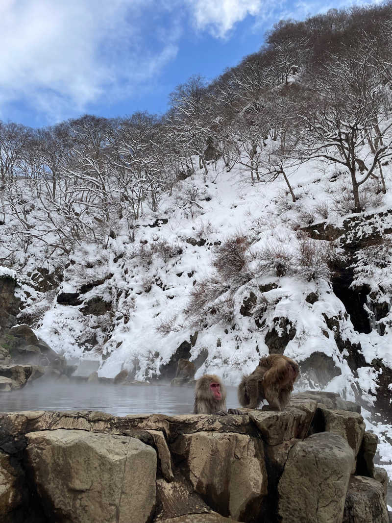 しぇろくまサウナ&カフェさんの元湯箱山温泉のサ活写真