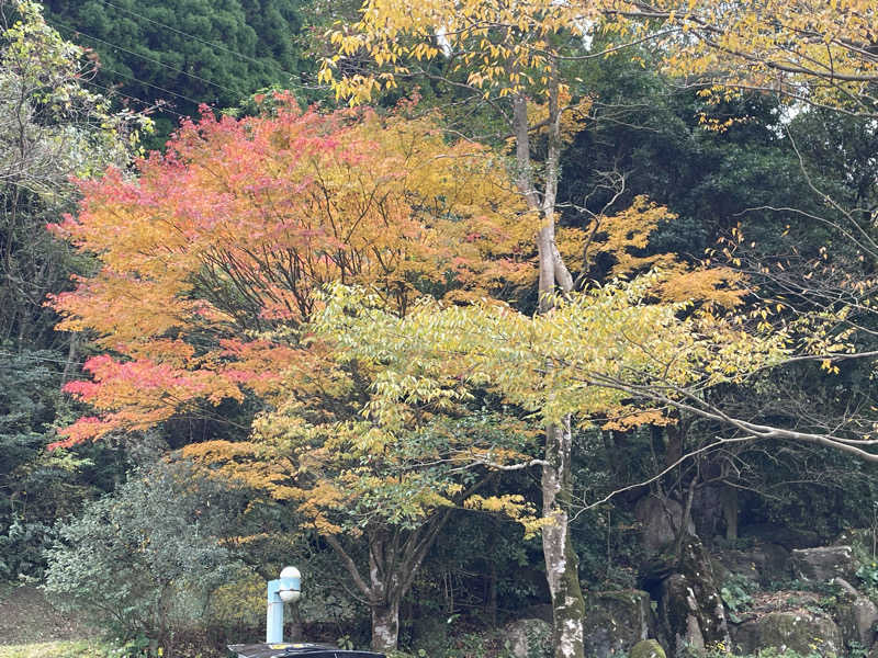 ダメな大人の休日さんの鏡石湯のサ活写真