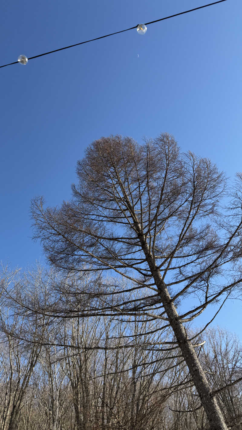 サウマさんのChillSheepのサ活写真