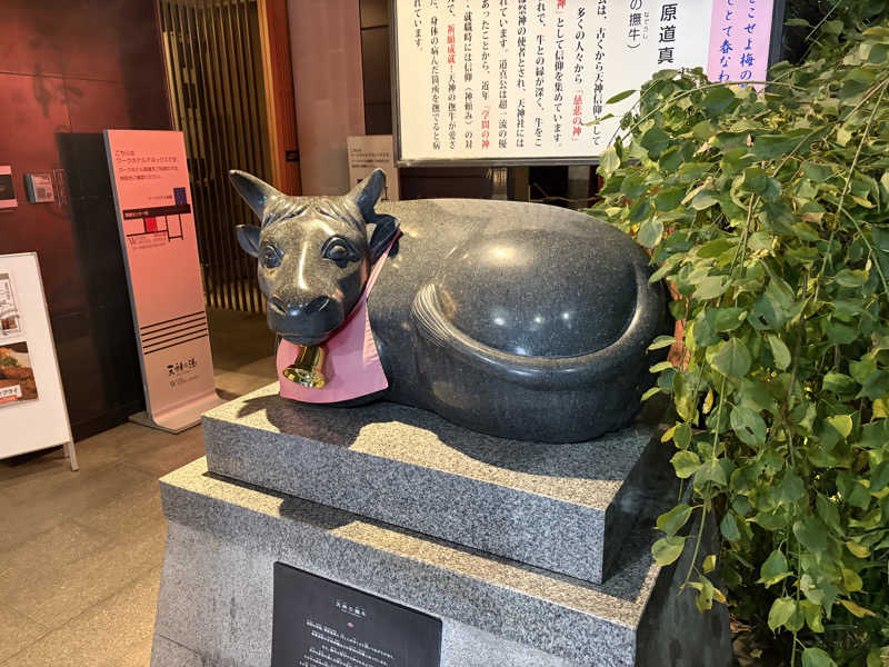 ととのうらいおん7さんの高槻天然温泉 天神の湯のサ活写真