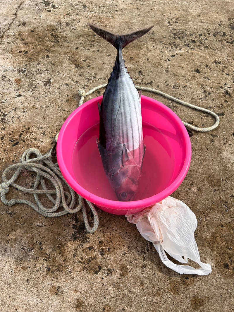 ちゃこさんの愛らんどセンター御神火温泉のサ活写真