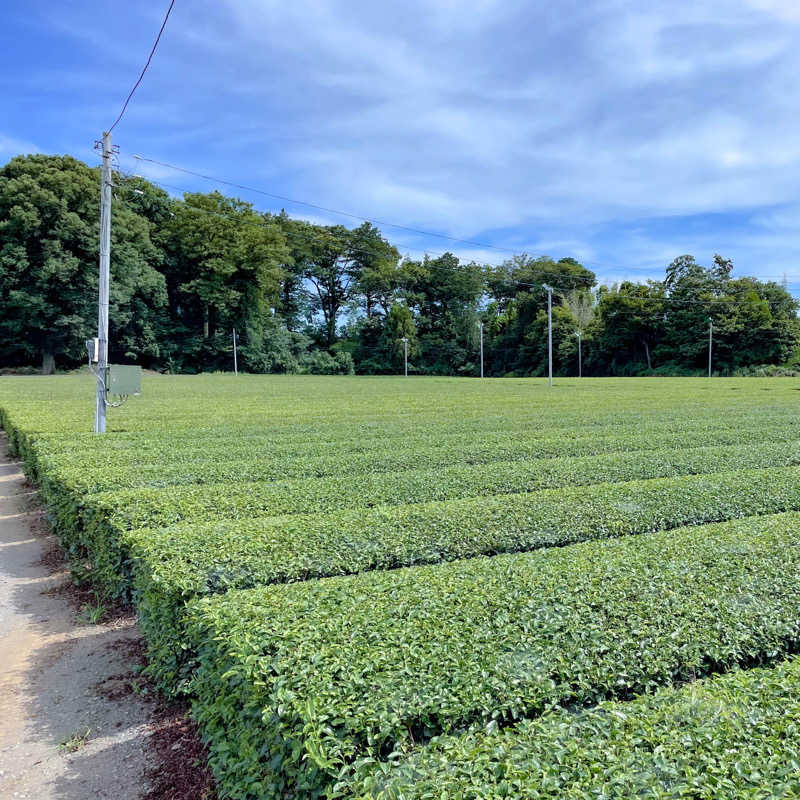 ちゃんなべ@サウナ好きさんのSAUNA NAYAのサ活写真