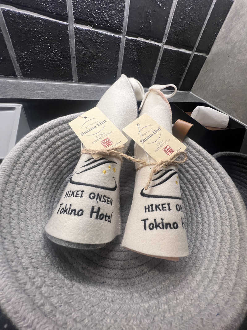 扇がれたい像さんの時のホテルのサ活写真