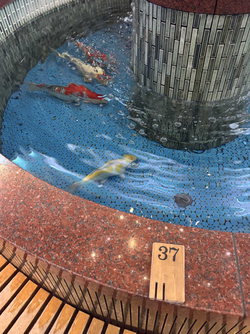 YHさんの夢の公衆浴場 五色のサ活写真