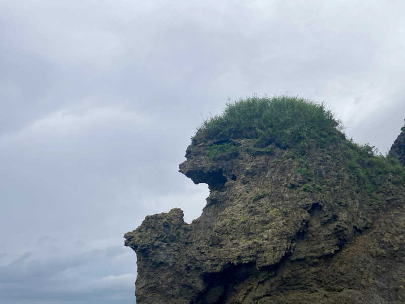 みといずみさんのうずら温泉のサ活写真