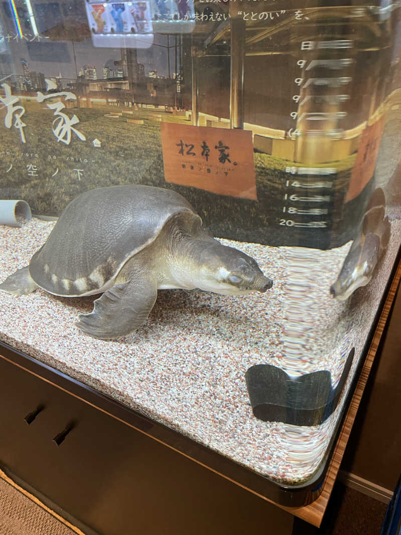 るうさんの松本湯のサ活写真