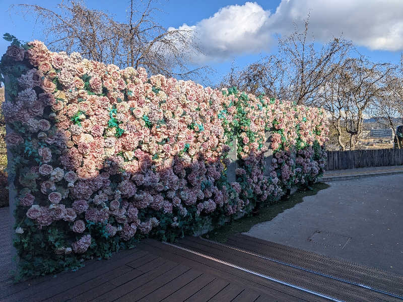 kemariさんの三田天然温泉 寿ノ湯のサ活写真