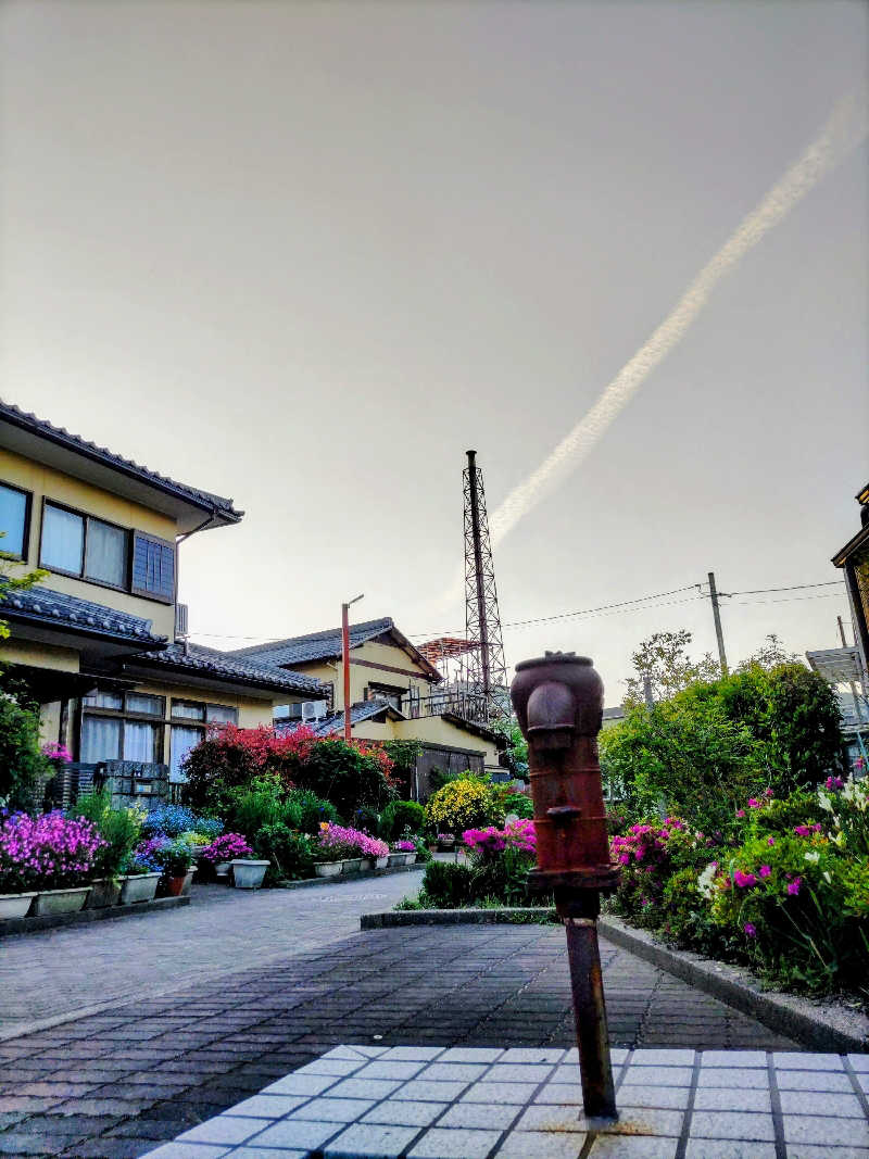 みやじーえむさんの大津湯のサ活写真