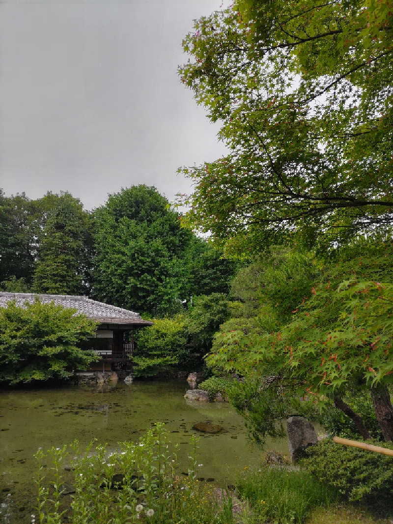 みやじーえむさんのサウナの梅湯のサ活写真