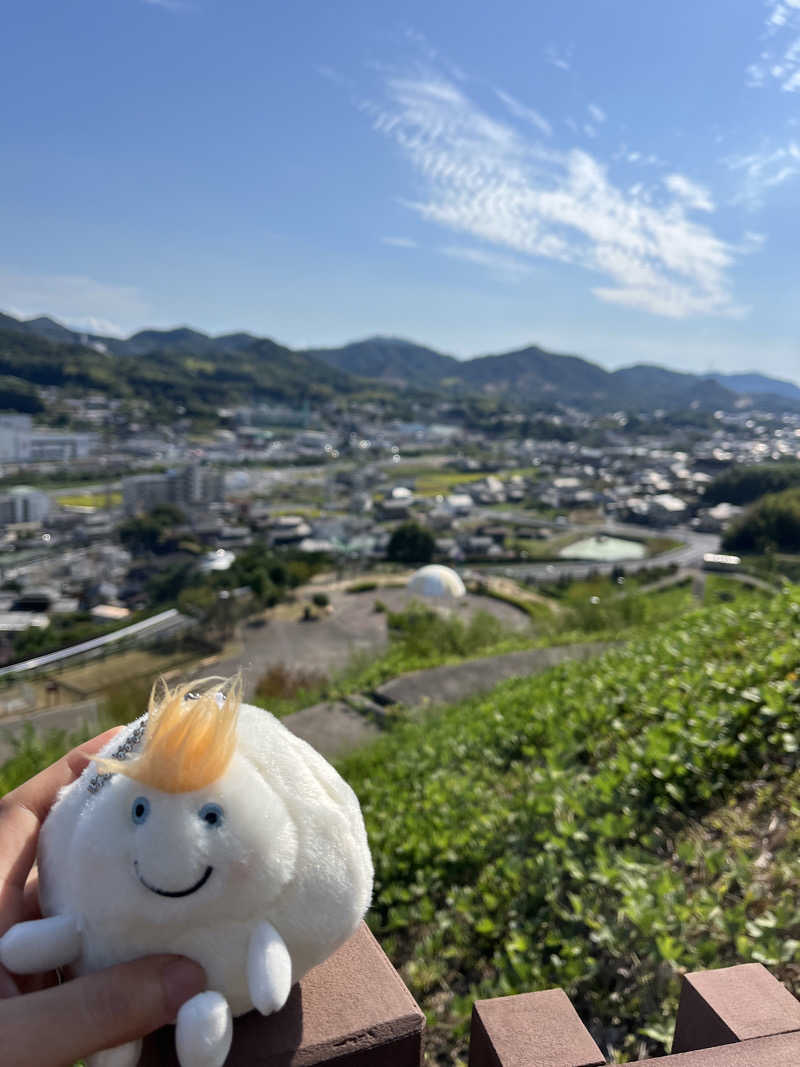 sanakoさんの天然温泉 尾道みなと館のサ活写真