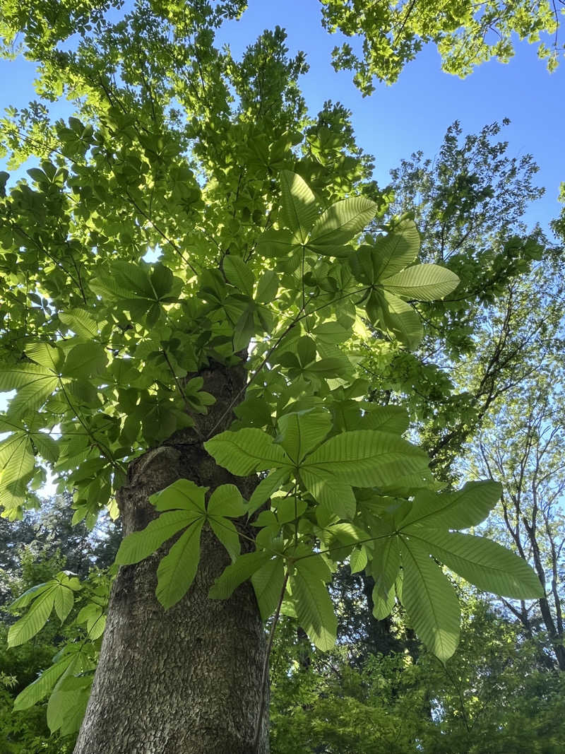 sanakoさんの宮沢湖温泉 喜楽里別邸のサ活写真