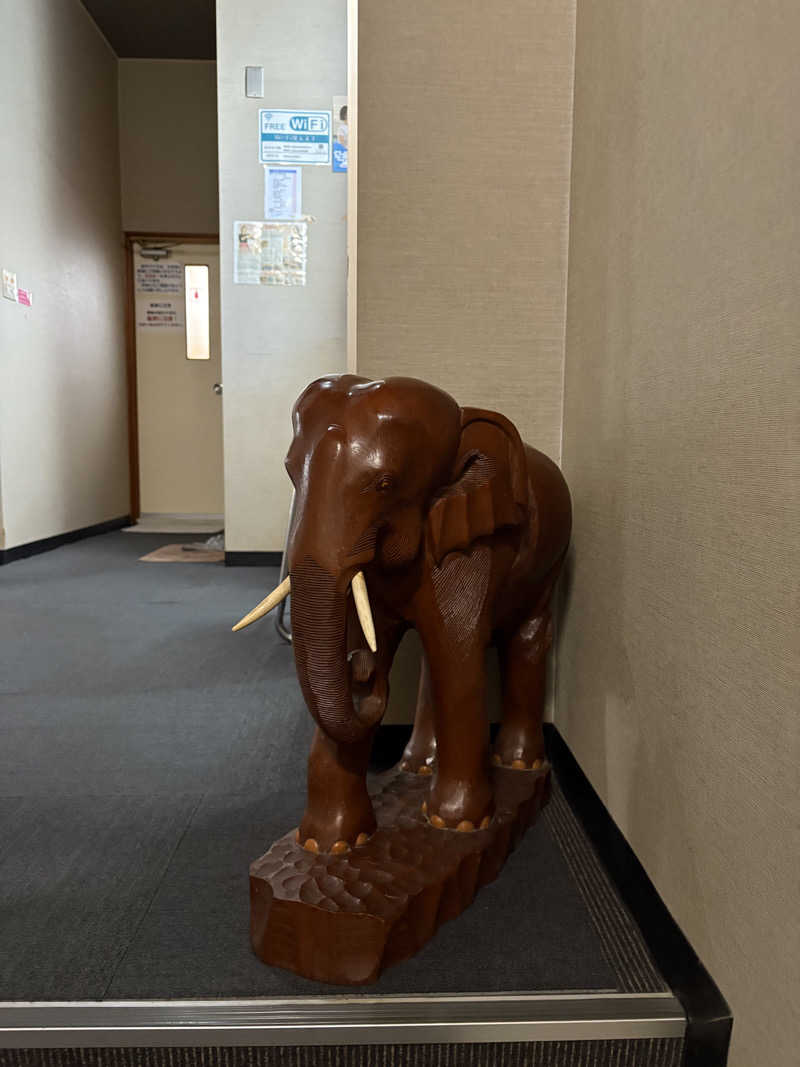 saunaine39さんのサウナしきじのサ活写真