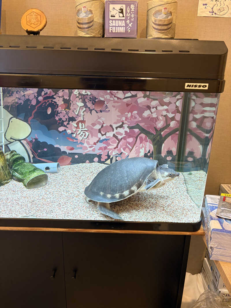saunaine39さんの松本湯のサ活写真