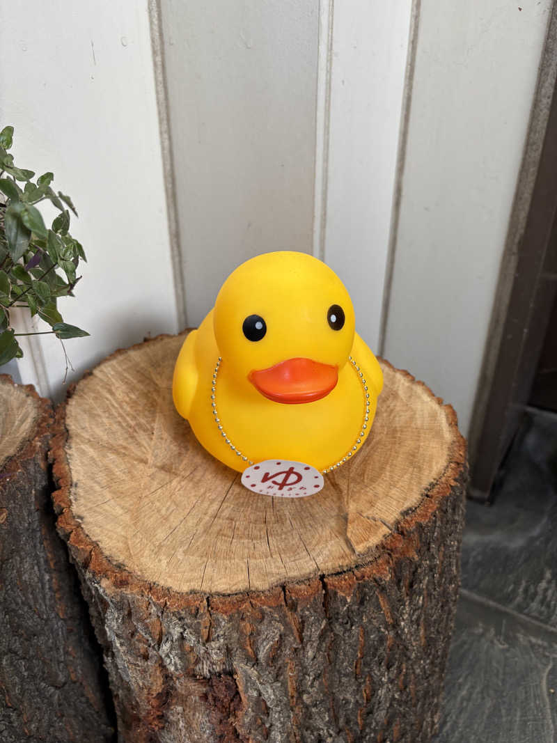 saunaine39さんのOYUGIWA海老名のサ活写真