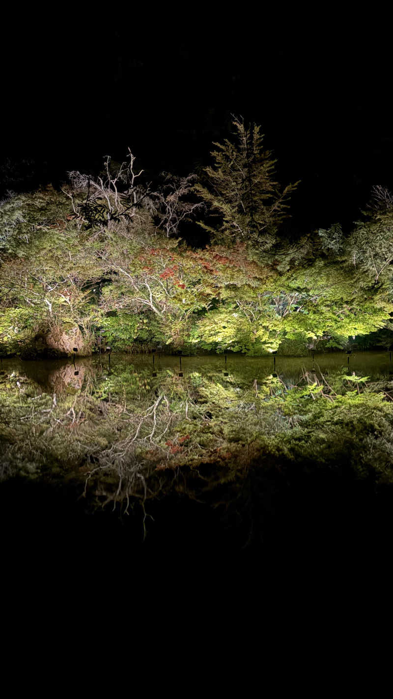 saunaine39さんの御船山楽園ホテル  らかんの湯のサ活写真