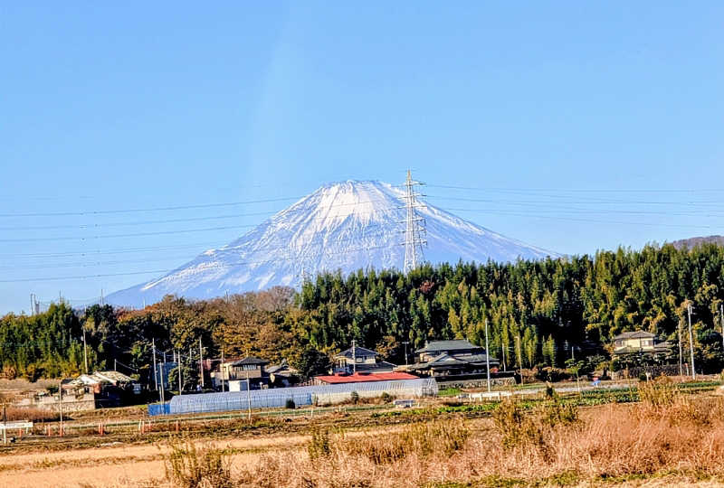 HOTさんのカプセル&サウナ ロスコのサ活写真