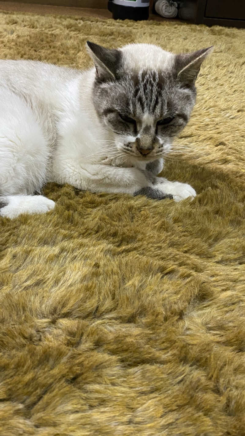 なおをさんの花園温泉のサ活写真