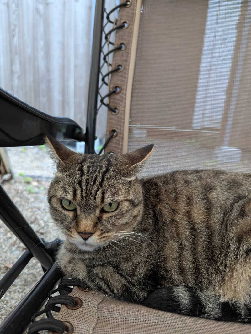 たけ🌶️🧖🏽‍♀️さんのOUSE SAUNA TUULI(OUSE Camp&Sauna TUULI内)のサ活写真