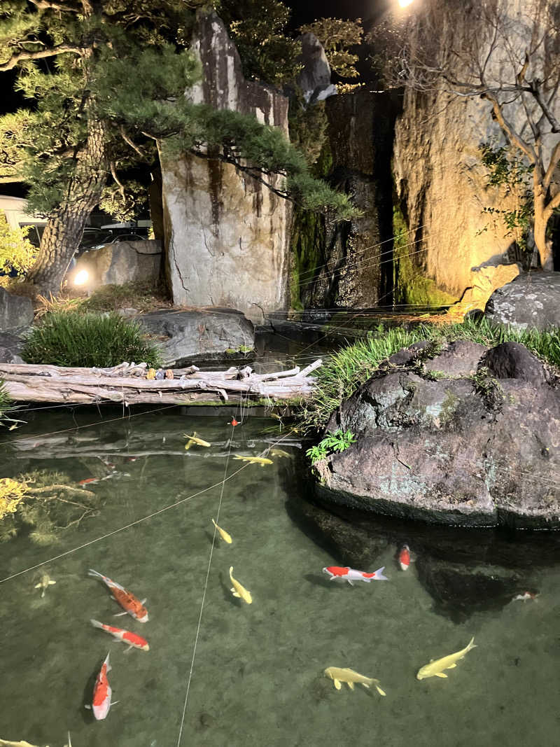 たなかさんの石和健康ランドのサ活写真