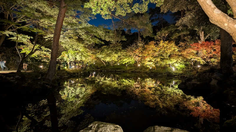 iwanovuさんのサウナと天然温泉 じょんのび館のサ活写真