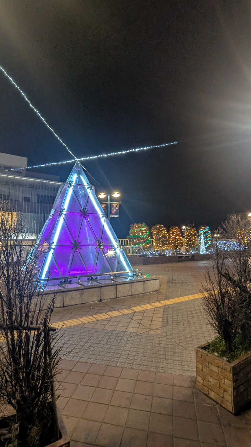 iwanovuさんの辰巳湯のサ活写真