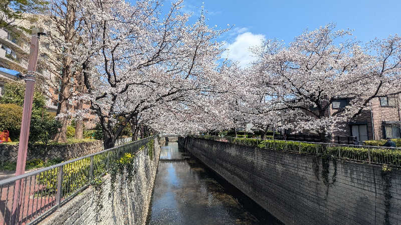 iwanovuさんの三の輪湯のサ活写真