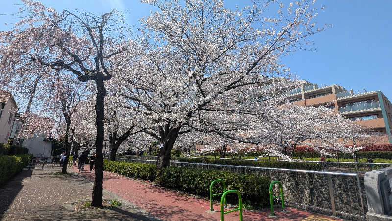 iwanovuさんの三の輪湯のサ活写真