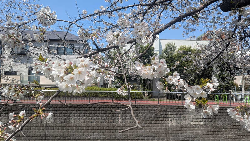 iwanovuさんの三の輪湯のサ活写真