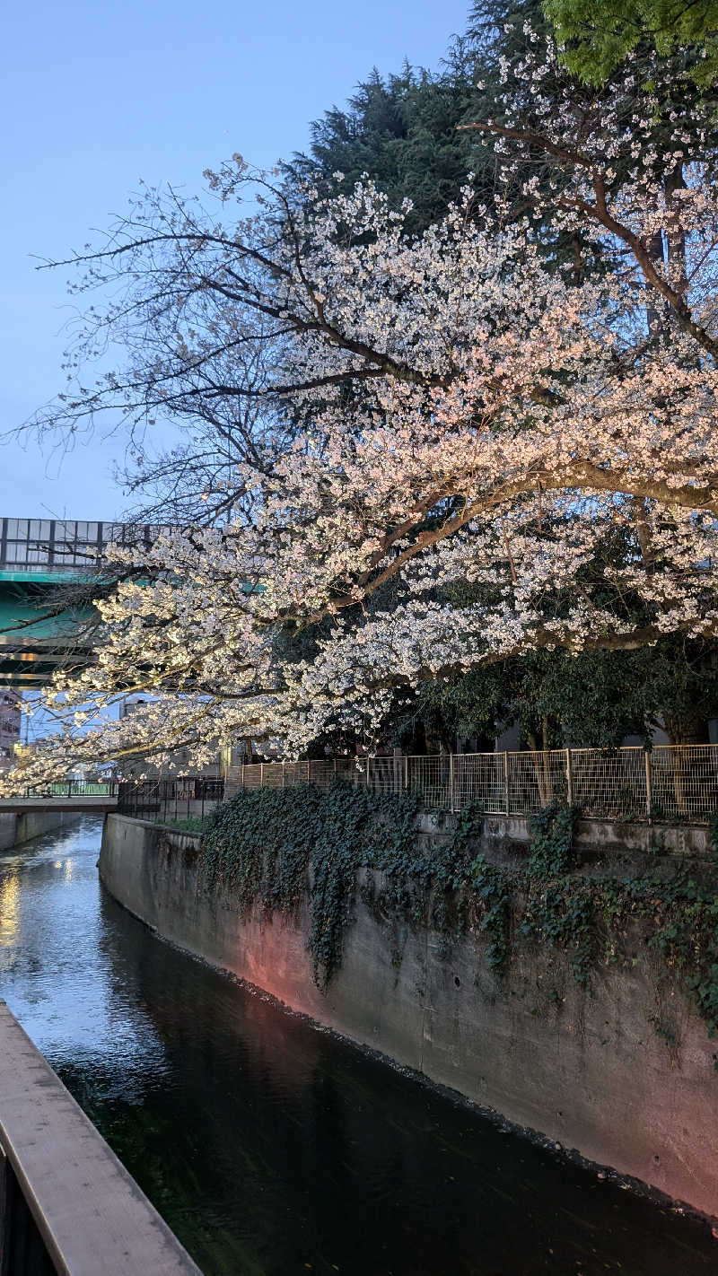 iwanovuさんの三の輪湯のサ活写真