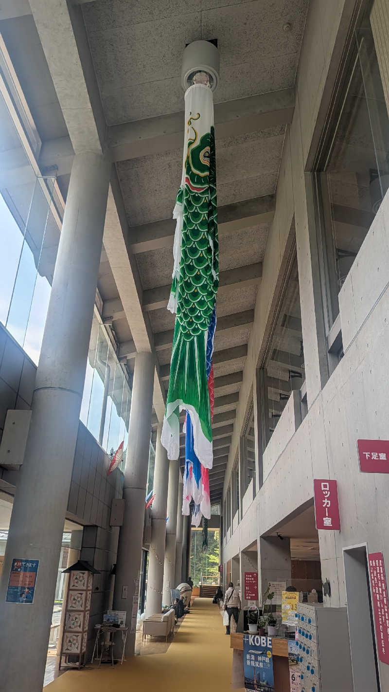 iwanovuさんの加茂七谷温泉 美人の湯のサ活写真