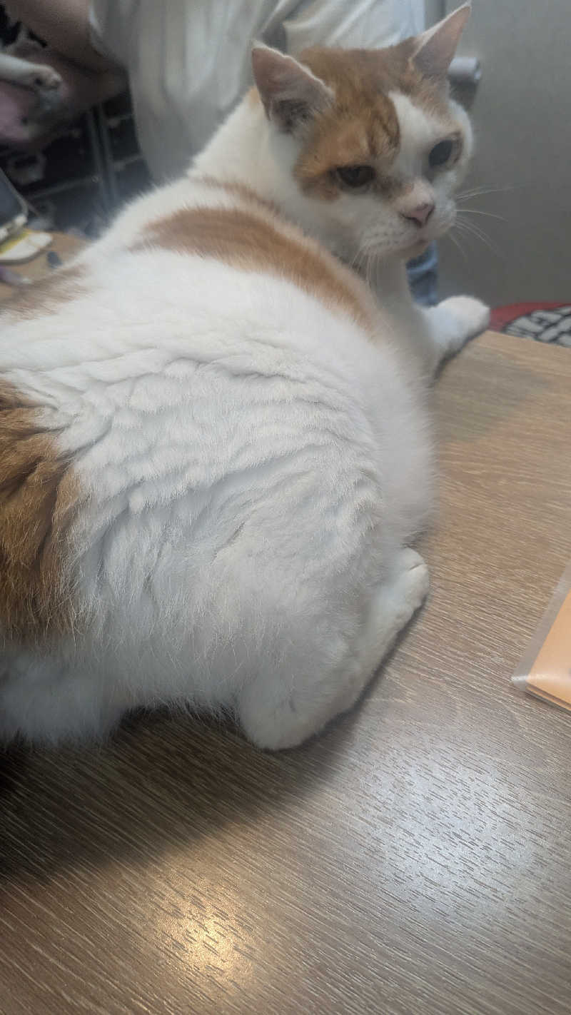 iwanovuさんの岩乃湯のサ活写真