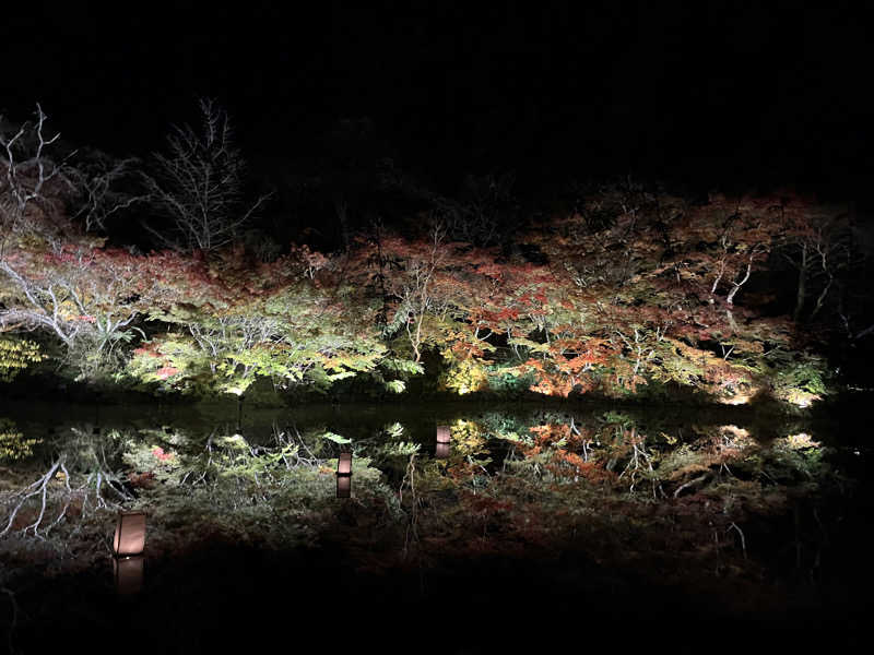 下町サウナーさんの御船山楽園ホテル  らかんの湯のサ活写真