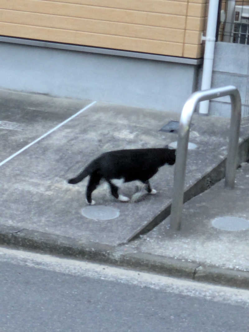 アウフグー太さんの横浜天然温泉くさつのサ活写真